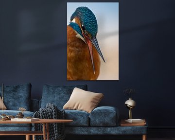 Eisvogel – Porträt