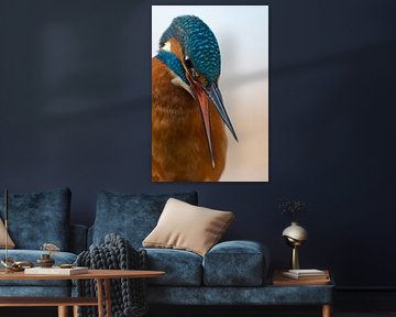 Eisvogel – Porträt von Eisvogel.land - Corné van Oosterhout