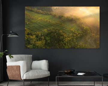 Sonnenaufgang über Reisfeldern in Bali von Ewold Kooistra