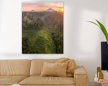 Reisterrassen bei Sonnenaufgang auf Bali von Ewold Kooistra