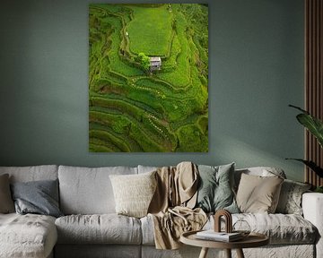 Grüne Reisterrassen auf Bali aus der Vogelperspektive von Ewold Kooistra