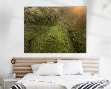 Sonnenaufgang über Reisterrassen auf Bali von Ewold Kooistra