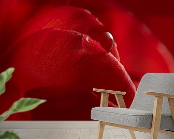 Calm red: A drop resting on a red petal by Marjolijn van den Berg