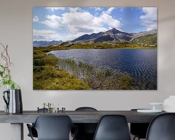 Sommerliche Berglandschaft in der Schweiz mit grünen Almen und markanten Gipfeln. von Miriam Schwarzfischer Fotografie
