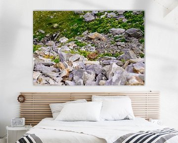 Summer mountain landscape in Switzerland with green alpine pastures and striking peaks. by Miriam Schwarzfischer Fotografie