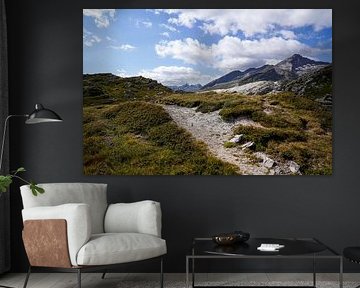 Summer mountain landscape in Switzerland with green alpine pastures and striking peaks. by Miriam Schwarzfischer Fotografie