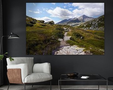 Summer mountain landscape in Switzerland with green alpine pastures and striking peaks. by Miriam Schwarzfischer Fotografie