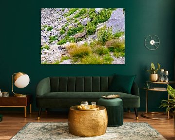 Unberührte alpine Wildnis in den Schweizer Alpen mit schroffen Gipfeln und rauer Natur. von Miriam Schwarzfischer Fotografie