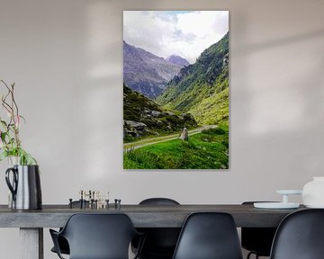 Unberührte alpine Wildnis in den Schweizer Alpen mit schroffen Gipfeln und rauer Natur. von Miriam Schwarzfischer Fotografie