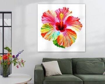 Hibiscus flower from Series A 04B