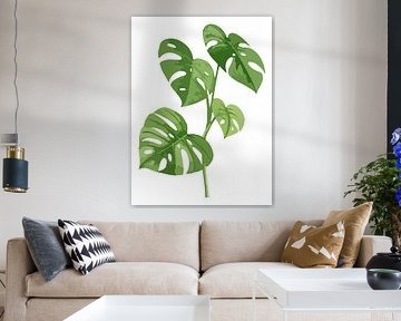 Monstera Deliciosa as a triptych (2 of 3)