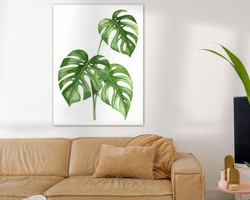 Monstera Deliciosa as a triptych (1 of 3)