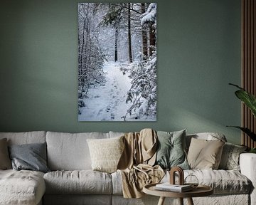 Bospad van Léontine Lamers