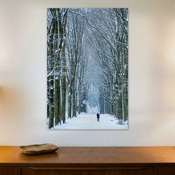 Bospad - 2 van Léontine Lamers