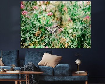 Butterfly among summer flowers in France by Jasmijn Brussé