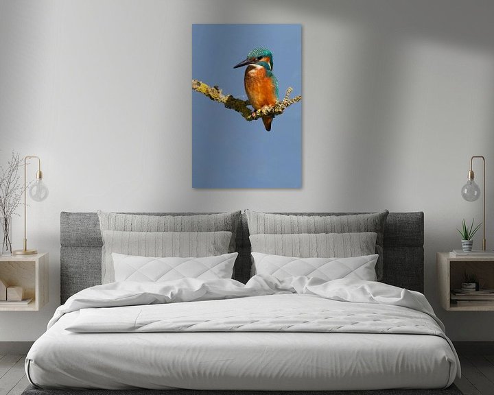 Impression: Kingfisher sur Menno Schaefer