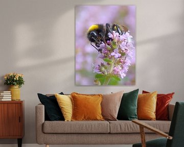 De ijverige hommel van Detlef Schöler Fotografie