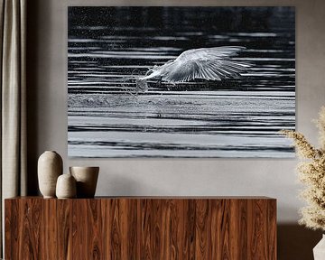 Jachtgeluk van Detlef Schöler Fotografie