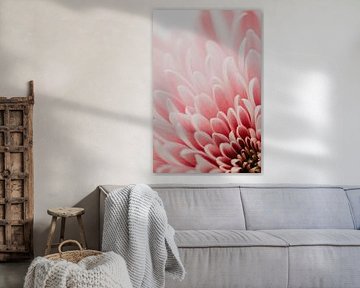 Flamingo flower no. 2 van Elise van Gils