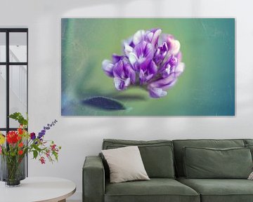 klaver van fantasina