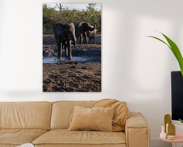 Elefanten an einer Wasserstelle