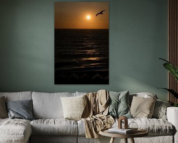 Seagull at sunset by Arthur van Iterson