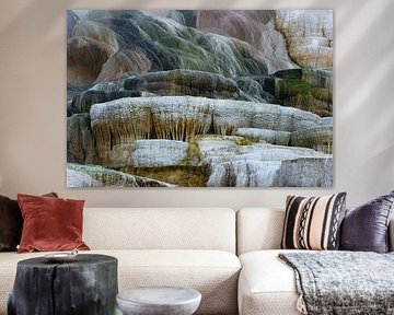 Mammoth Hot Spring-Palette Spring van Dick Hoogenboom