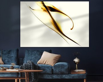 Souffle d'or sur Mario Letschert