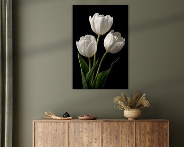 Tulips close-up by MNS Designs