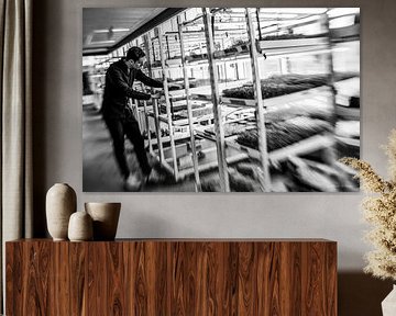 Phood Farm, Eindhoven En vedette