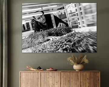 Phood Farm, Eindhoven En vedette