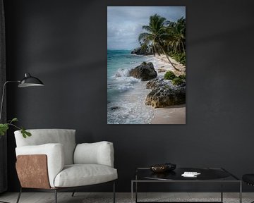 Zeestrand met palmen en rotsen van MNS Designs