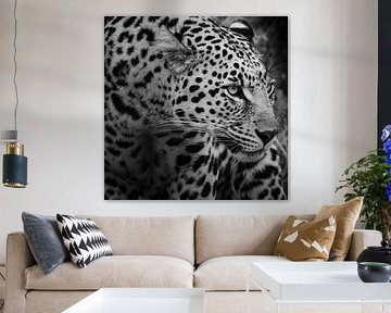 Luipaard Profiel Zwart-wit van Arthur van Iterson