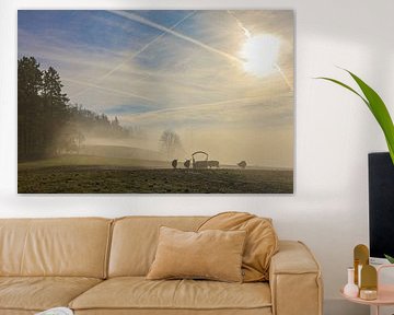 Schottische Hochlandrinder auf einer Weide unterhalb der Ruine Nellenburg bei Stockach im Nebel von BlattArt - Christine Horn