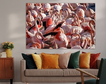 FRA, Frankreich, Camargue, Parc Ornithologique Du Pont De Gau Fl von Christoph Hermann