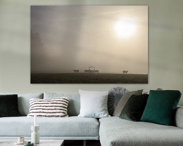 Schottische Hochlandrinder auf einer Wiese bei Stockach im dichten Nebel - Landkreis Konstanz von BlattArt - Christine Horn