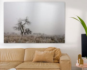 Mist en rijp - Landschap bij Eigeltingen-Homberg in Hegau - District Konstanz van BlattArt - Christine Horn