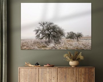 Landschap met rijp en mist bij Eigeltingen-Homberg in Hegau - district Konstanz van BlattArt - Christine Horn