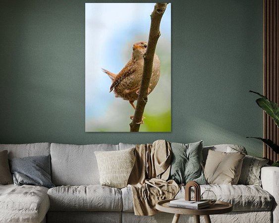 Aperçu de la chambre