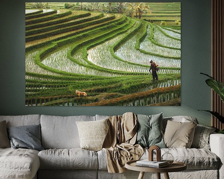 Voorbeeld van het werk in een kamer