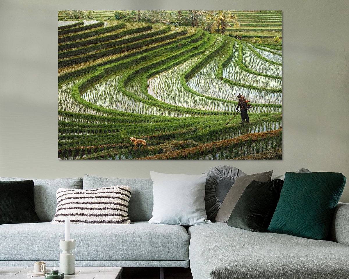 Voorbeeld van het werk in een kamer