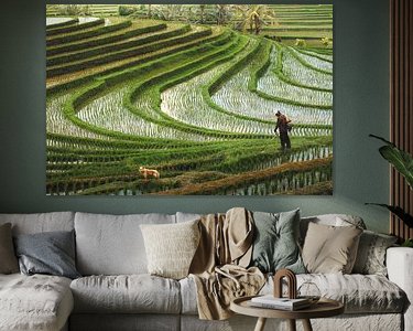 Voorbeeld van het werk in een kamer