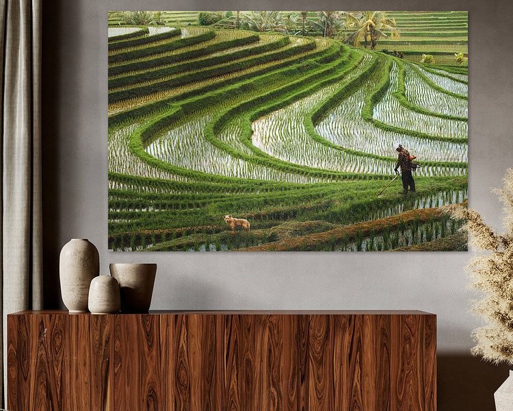 Voorbeeld van het werk in een kamer