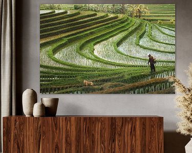 Voorbeeld van het werk in een kamer