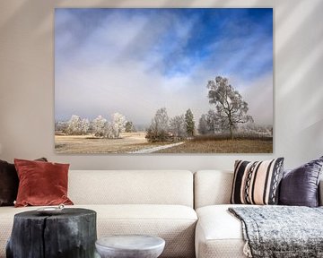Mist en rijp - Winterlandschap Irndorfer Hardt in het natuurpark Obere Donau van BlattArt - Christine Horn