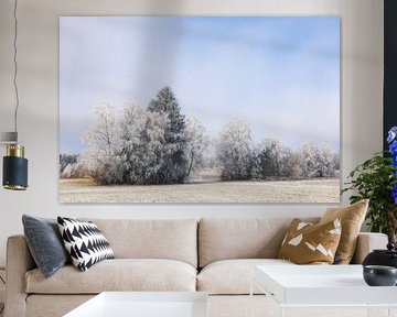 Winterlandschap Irndorfer Hardt in het natuurpark Obere Donau van BlattArt - Christine Horn