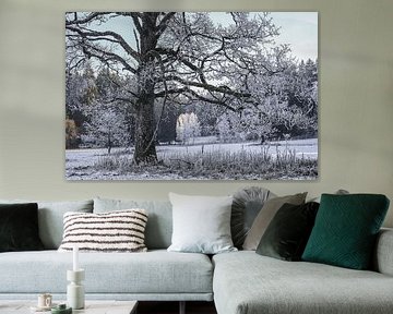 Winter in Irndorfer Hardt - Natuurpark Obere Donau van BlattArt - Christine Horn