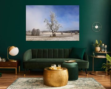 Laatste restjes mist en rijp in Irndorfer Hardt - Natuurpark Boven-Donau van BlattArt - Christine Horn