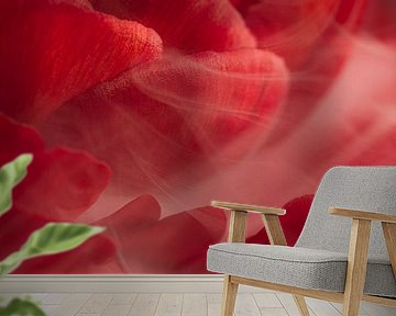 Red petals carry a fleeting white veil of smoke by Marjolijn van den Berg