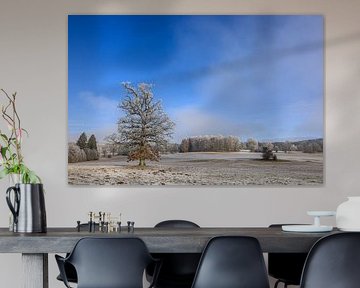 Winterlandschap Irndorfer Hardt in het natuurpark Obere Donau van BlattArt - Christine Horn